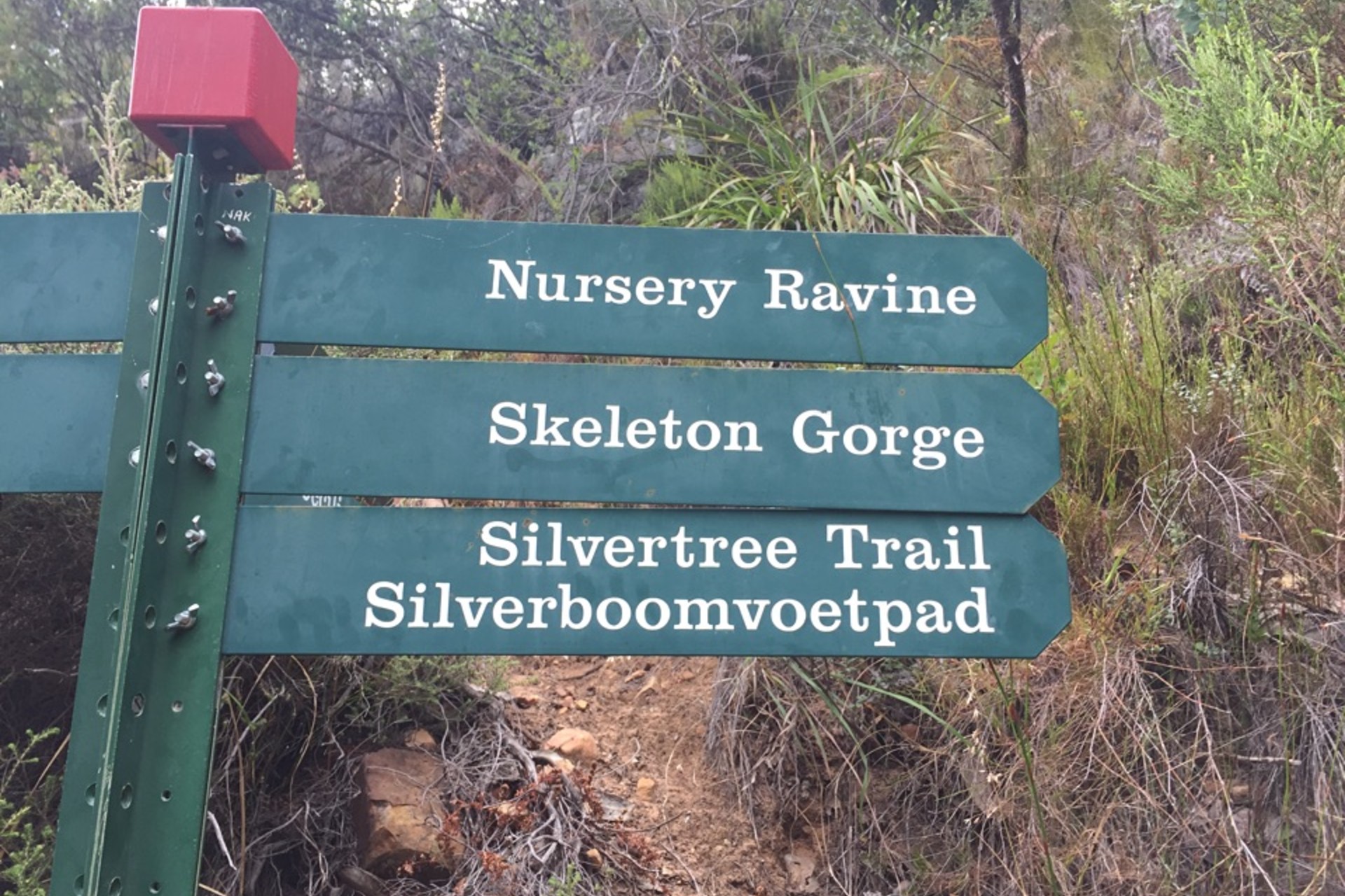 nursery-ravine-3